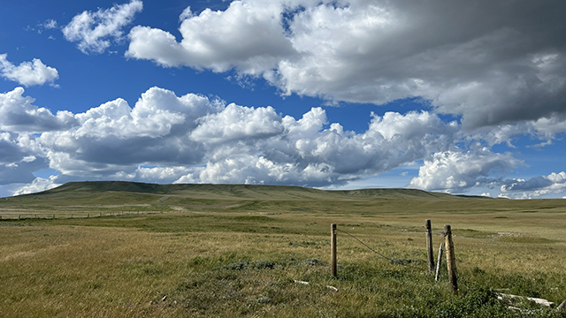 Season 19 wll also be available for streaming online.